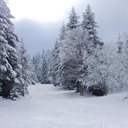 Chalet Les Sapins Argentes Gerardmer Exterior photo