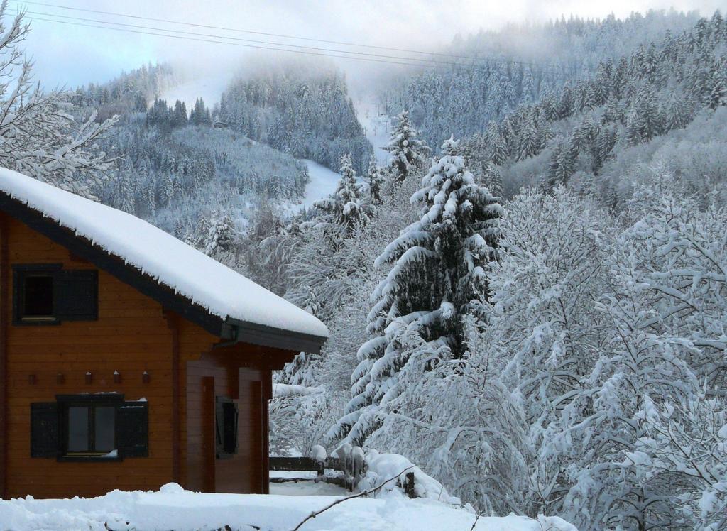 Les Sapins Argentes Chalet Gerardmer