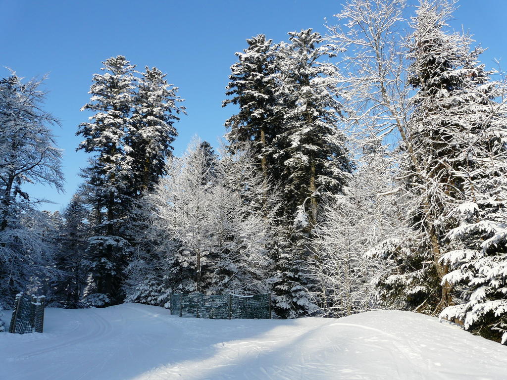 Les Sapins Argentes Gérardmer