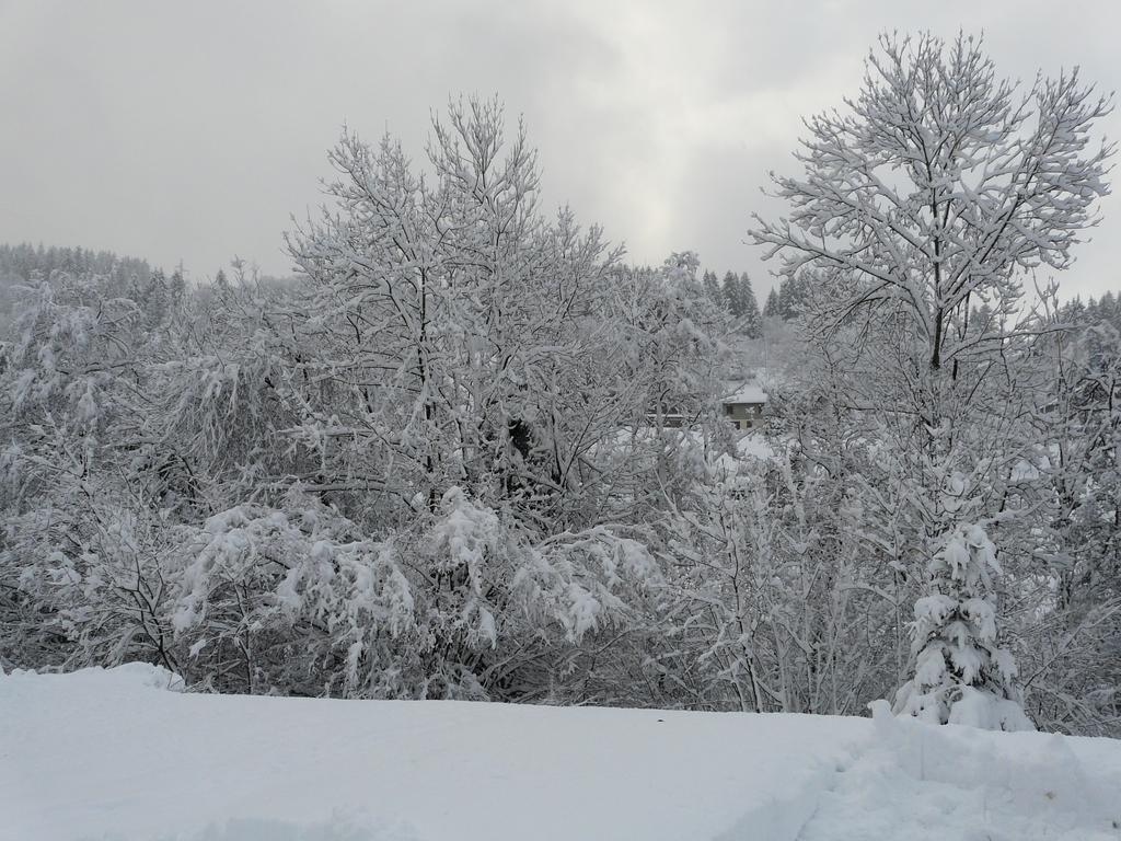 Les Sapins Argentes Gérardmer