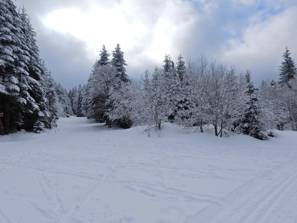 Chalet Les Sapins Argentes *