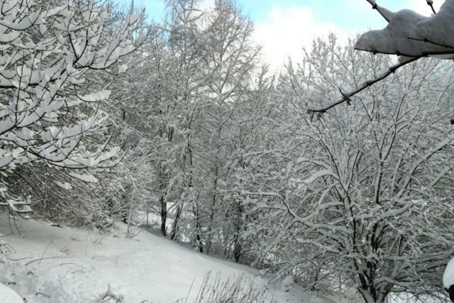 Chalet Les Sapins Argentes *