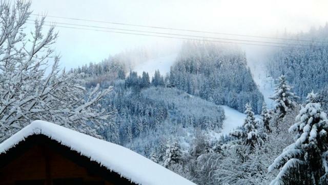 Chalet Les Sapins Argentes