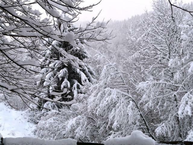Chalet Les Sapins Argentes